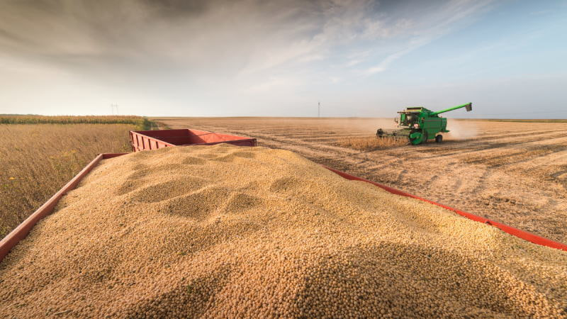 大豆期货行情分析：出口市场变化对大豆价格的推力