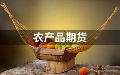 农产品期货最新动态：大豆与玉米的市场前景